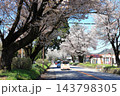 さくら名所 日光街道桜並木／栃木県宇都宮市 143798305