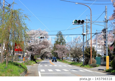 さくら名所 日光街道桜並木／栃木県宇都宮市 143798318