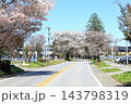 さくら名所 日光街道桜並木／栃木県宇都宮市 143798319