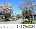 さくら名所 日光街道桜並木／栃木県宇都宮市 143798320