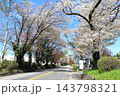 さくら名所 日光街道桜並木／栃木県宇都宮市 143798321
