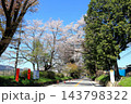 さくら名所 日光街道桜並木／栃木県宇都宮市 143798322