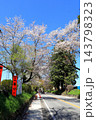 さくら名所 日光街道桜並木／栃木県宇都宮市 143798323