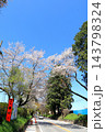 さくら名所 日光街道桜並木／栃木県宇都宮市 143798324
