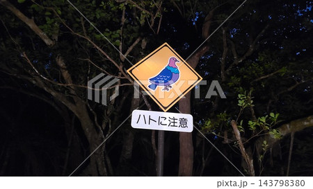 小笠原諸島・母島のハト注意標識 小笠原諸島・母島のハト注意標識 143798380