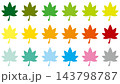 ポップなカラーの紅葉（もみじ）の葉のベクターイラスト 143798787