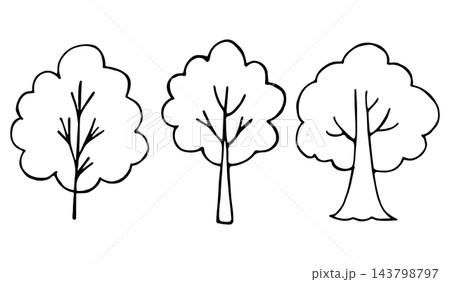 Hand Drawn Doodle Set of Three Deciduous Trees Outline Illustration, Forest and Garden Nature Icons Isolated Hand Drawn Doodle Set of Three Deciduous Trees Outline Illustration, Forest and Garden Nature Icons Isolated 143798797