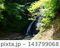 【神奈川県】森の中の新緑に包まれた小さな滝 143799068