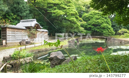 大名庭園　小石川後楽園内庭と唐門　東京都 143799277