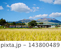 秋の青空と田んぼ 143800489