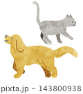 犬と猫　優しい風合いの水彩イラスト 143800938