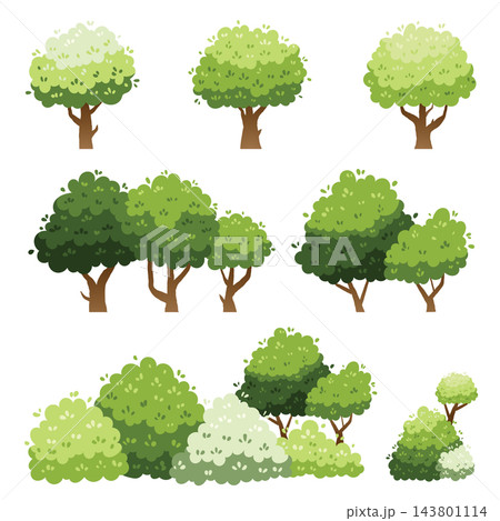 different trees collection isolated on white background different trees collection isolated on white background 143801114