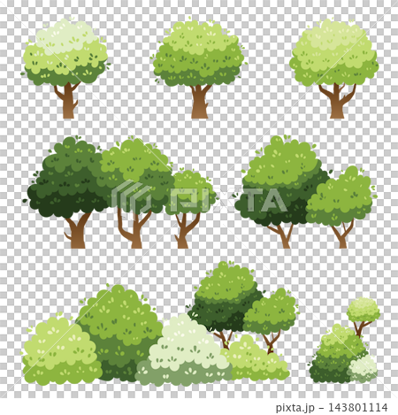different trees collection isolated on white background different trees collection isolated on white background 143801114