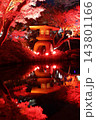 東京都港区白金台　八芳園の紅葉 143801166