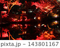 東京都港区白金台　八芳園の紅葉 143801167