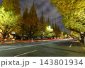 《東京都》イチョウ並木のライトアップ・神宮外苑 143801934