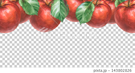 Watercolor red apple horizontal seamless border frame with green leaves on an isolated background Watercolor red apple horizontal seamless border frame with green leaves on an isolated background 143802826