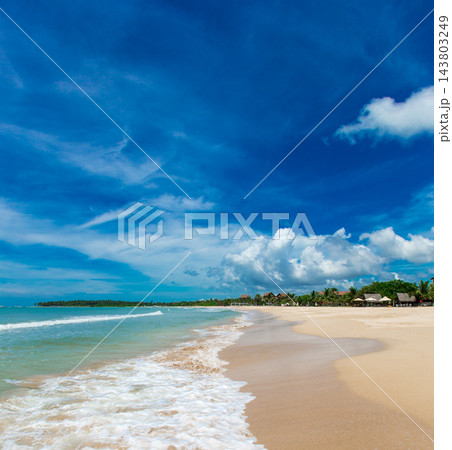beach and tropical sea beach and tropical sea 143803249
