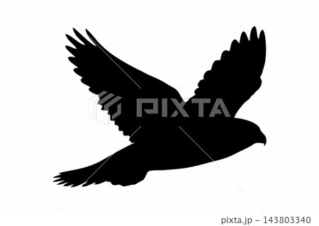 Black Soaring Falcon Bird Silhouette Vector Illustration Black Soaring Falcon Bird Silhouette Vector Illustration 143803340
