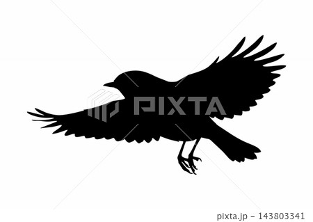 Black Flying Songbird Silhouette Vector Illustration Black Flying Songbird Silhouette Vector Illustration 143803341