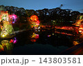 東京都豊島区 目白庭園 紅葉のライトアップ 143803581