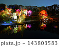 東京都豊島区 目白庭園 紅葉のライトアップ 143803583