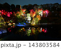東京都豊島区 目白庭園 紅葉のライトアップ 143803584