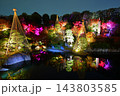 東京都豊島区 目白庭園 紅葉のライトアップ 143803585