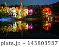 東京都豊島区 目白庭園 紅葉のライトアップ 143803587