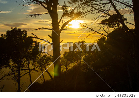 Golden sunset glowing between treetops across a mountain landscape creates a peaceful natural scene with warm light and atmospheric silhouettes in Spain Golden sunset glowing between treetops across a mountain landscape creates a peaceful natural scene with warm light and atmospheric silhouettes in Spain 143803928