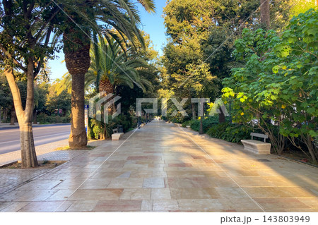 Enjoying the peaceful morning atmosphere in a port park, with waterfront scenery, gentle sunlight, and quiet pathways in Malaga, Spain 143803949