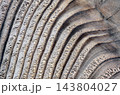 木材の切断面 143804027