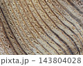 木材の切断面 143804028