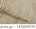 木材の切断面 143804030