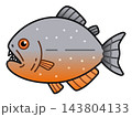 ピラニア 143804133