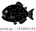 ピラニア 143804134