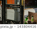A weathered black storefront door shows old glass panels, chipped paint, and bright sunlight. The scene includes a white brick wall, window reflections, plants, and a wooden chair outside a small shop 143804416