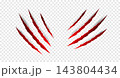 Halloween Claws scratches - vector isolated. Claws scratches animal claw tracks cat or tiger bear or lion attack nails scratches. Horror, Halloween monster. Vector 143804434