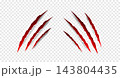Halloween Claws scratches - vector isolated. Claws scratches animal claw tracks cat or tiger bear or lion attack nails scratches. Horror, Halloween monster. Vector 143804435