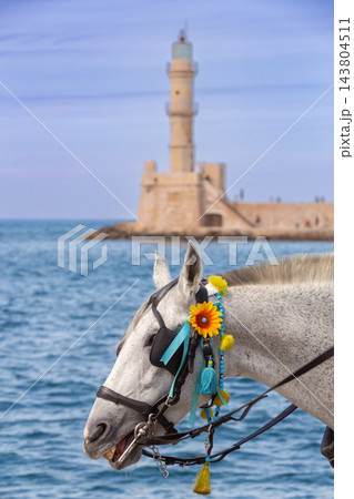 Decorated White Horse with Venetian Lighthouse in Chania, Crete, Greece 143804511