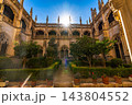Sunlit Gothic Cloister Garden of San Juan de los Reyes 143804552