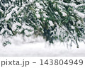 Snow covered spruce branches - moody christmas card background with copy space 143804949
