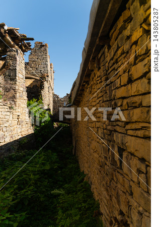 Old stone ruins in overgrown passage 143805287