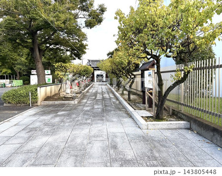 お地蔵様と樹木が並ぶ石畳の整った寺院参道 お地蔵様と樹木が並ぶ石畳の整った寺院参道 143805448
