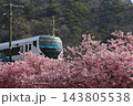 143805538