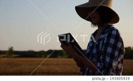 Female agronomist in straw hat monitoring harvest on barley field at sunset. Adult farmer using digital tablet on wheat meadow at dusk. Beautiful scenic landscape. Concept of agricultural business 143805919