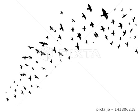 Flying birds silhouette flock. hand drawing. Not AI. Vector illustration Flying birds silhouette flock. hand drawing. Not AI. Vector illustration 143806219