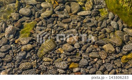 Clear shallow water flowing over smooth stones with green algae and rippling sunlight patterns in a natural streambed landscape 143806283