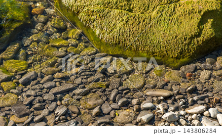 Clear shallow stream flowing over smooth stones beside a moss covered rock in warm natural light, close up of a rocky creek Clear shallow stream flowing over smooth stones beside a moss covered rock in warm natural light, close up of a rocky creek 143806284