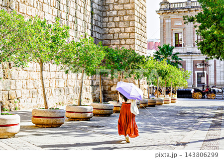 A woman in a red dress with a white umbrella, walking alongside the stone wall and medieval towers of the historic Real Alcazar of Seville, Andalusia, Spain A woman in a red dress with a white umbrella, walking alongside the stone wall and medieval towers of the historic Real Alcazar of Seville, Andalusia, Spain 143806299